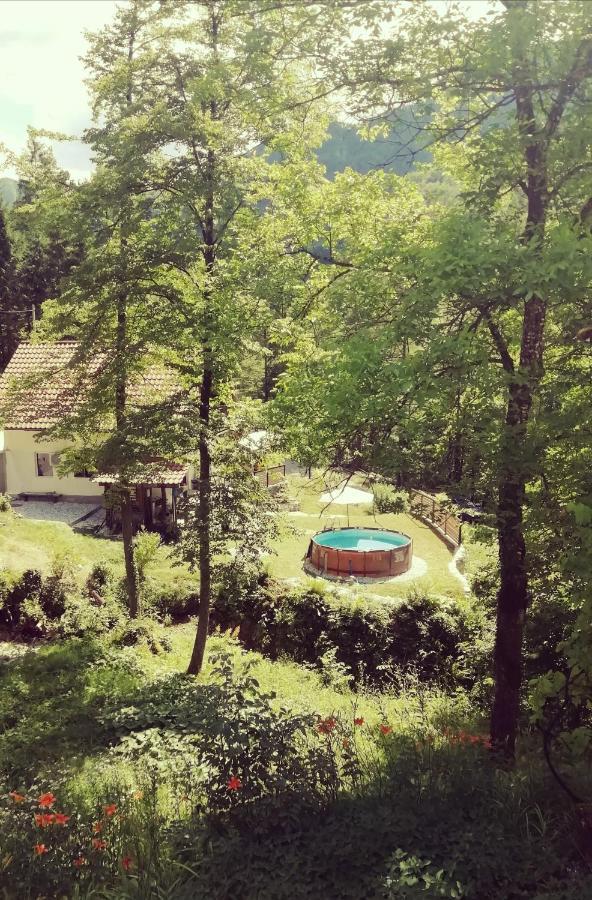 Naturalina Holiday House Gorenja Trebusa Екстериор снимка