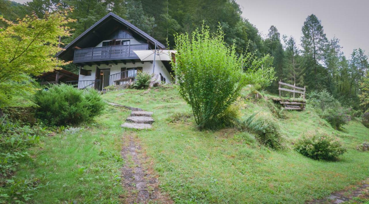 Naturalina Holiday House Gorenja Trebusa Екстериор снимка