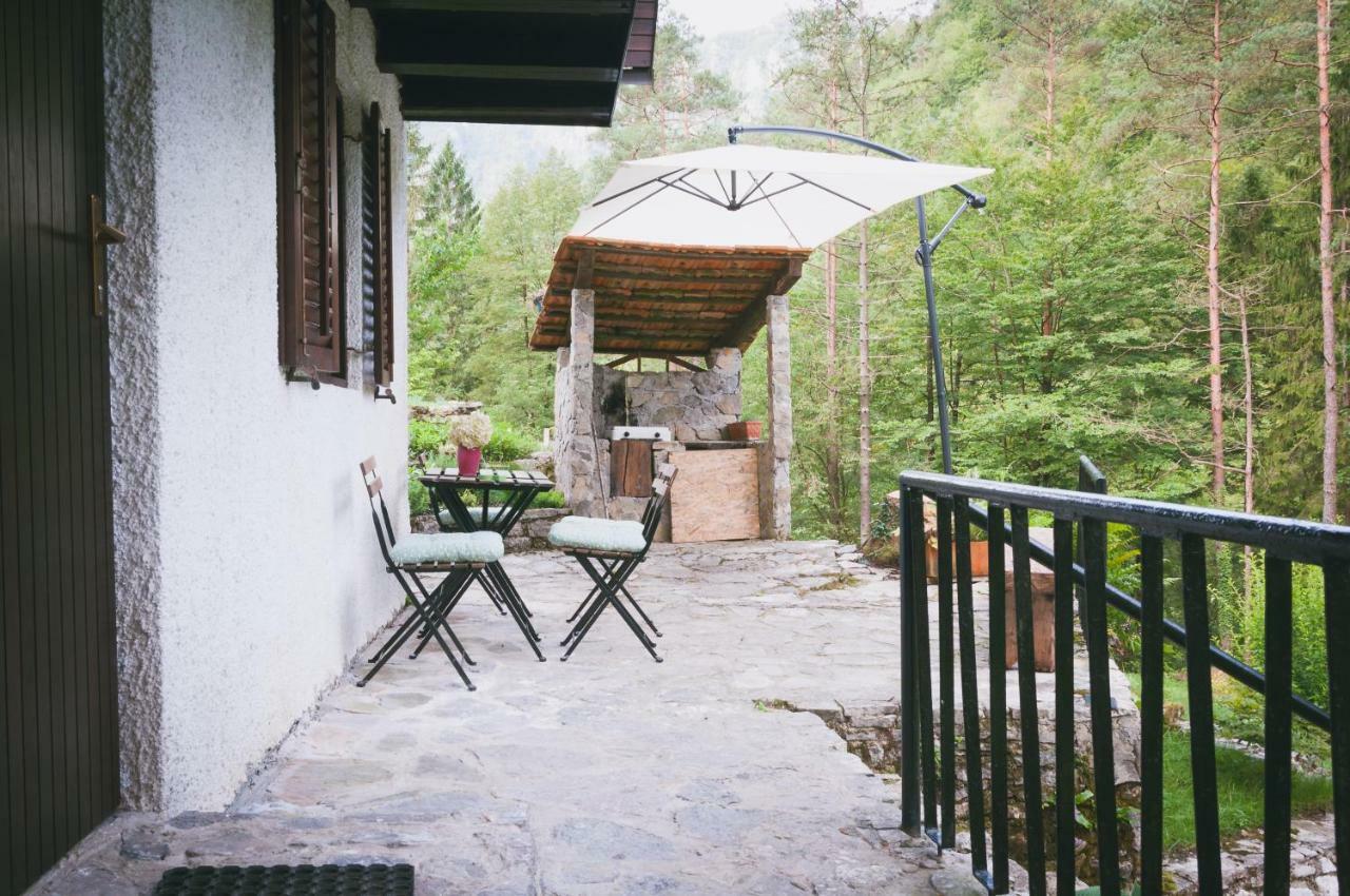 Naturalina Holiday House Gorenja Trebusa Екстериор снимка