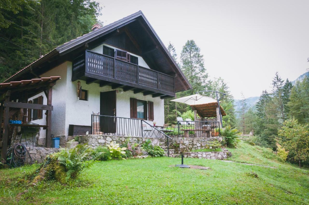 Naturalina Holiday House Gorenja Trebusa Екстериор снимка
